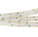 Arlight S2-2500 023399 Светодиодная лента 24В (2835, IP33, 280 LED/m, LUX, 2.5 м)