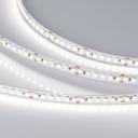 Arlight RT 6 Day White 3x 017418 Светодиодная лента 24В (3528, IP33, 900 LED, 5 м)