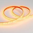 Arlight RTW 2-5000PGS 014950 Светодиодная лента 12В Yellow 2x (3528, IP67, 600 LED, LUX, 5 м)