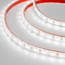 Arlight RTW 2-5000PGS 013584 Светодиодная лента 24В White 2x (5060, IP67, 300 LED, LUX, 5 м)