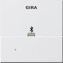 Gira System55 228703 Накладка Apple Lightning для вставки док-станции (белая глянцевая)