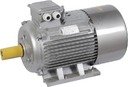 IEK DRV180-M2-030-0-3010 Электродвигатель АИР DRIVE 3ф 180M2 660В 30кВт 3000об/мин 1081 ИЭК