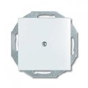 ABB Basic55 2CKA001715A0312 Заглушка с суппортом (под рамку, с/у, альпийский белый)