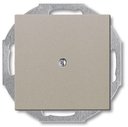 ABB Basic55 2CKA001715A0314 Заглушка с суппортом (под рамку, с/у, шампань)