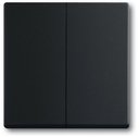ABB Future Linear 2CKA001751A3038 Клавиша двойная (с возм. подсветки, черный бархат)