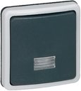 Legrand Plexo 090480 Переключатель одноклавишный (10 А, IP66, подсветка, под рамку, серый)