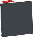 Schneider Electric Unica New NU320554 Переключатель двухклавишный (10 А, 2 модуль, под рамку, скрытая установка, антрацит)