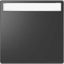 Schneider Electric Merten D-Life MTN3360-6034 Клавиша одиночная (поле для надписи, антрацит)