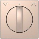 Schneider Electric Merten D-Life MTN3875-6051 Передняя панель поворотного выключателя рольставней (шампань)