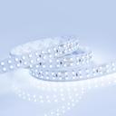 Arlight RT 2-5000 013746 Светодиодная лента 24В Cool 2x2 (3528, IP33, 1200 LED, LUX, 5 м)