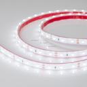 Arlight RTW 2-5000PGS 013529 Светодиодная лента 12В White (3528, IP67, 300 LED, LUX, 5 м)