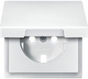 Schneider Electric Merten Artec/Antique MTN2341-4019 Крышка розетки (2P+E, крышка, полярно-белая)