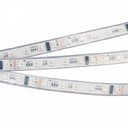 Arlight DMX-5000P RGB 024498 Светодиодная лента 24В (5060, IP66, 300 LEDx6, 5 м)