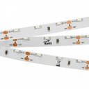 Arlight RS 2-5000 Day4000 024446 Светодиодная лента 12В (3014, IP33, 60 LED/m, LUX, 5 м)