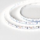 Arlight RT 2-5000 White6000 5mm 2x 015651(B) Светодиодная лента 24В (3528, IP33, 600 LED, LUX, 5 м)