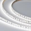 Arlight RT-10000 Day4000 025006 Светодиодная лента 24В (3528, IP33, 120 LED/m, 10 м)