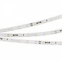 Arlight RT-10000 White5500 024988 Светодиодная лента 24В (3528, IP33, 60 LED/m, 10 м)