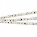 Arlight RT-10000 White6000 2x 025004 Светодиодная лента 24В (3528, IP33, 120 LED/m, 10 м)