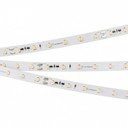 Arlight RT-20000 White5500 025010 Светодиодная лента 24В (3528, IP33, 60 LED/m, 20 м)