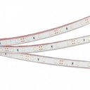 Arlight RTW 2-5000P Blue 014967 Светодиодная лента 12В (3528, IP66, 300 LED, LUX, 5 м)
