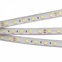 Arlight RTW 2-5000P Cool 10K 2x 024923 Светодиодная лента 24В (5060, IP65, 300 LED, LUX, 5 м)