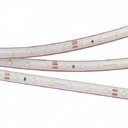 Arlight RTW 2-5000PS-50m Day4000 024564 Светодиодная лента 24В (3528, IP67, 60 LED/m, LUX, 5 м)