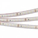 Arlight RTW 2-5000PS-50m Day4000 2x 024576 Светодиодная лента 24В (3528, IP67, 120 LED/m, LUX, 5 м)