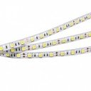 Arlight RTW 2-5000SE White 2x 014636(B) Светодиодная лента 12В (5060, IP65, 300 LED, LUX, 5 м)