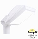 Fumagalli Giorgio 4P2.000.G10.WYE28 Светильник-кронштейн на столб с 1 фонарем, 2 цоколя 200 мм (корпус белый, плафон матовый)