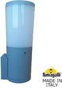 Fumagalli Amelia Wall DR2.570.000.LYF1R Светильник уличный настенный 260 мм (корпус серый, плафон молочный)