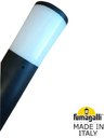 Fumagalli Amelia-Fs DR2.571.000.AYF1R Светильник уличный настенный 340 мм (корпус черный, плафон молочный)