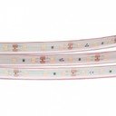 Arlight RTW 2-5000 PS Warm3000 021461 Светодиодная лента 12В (2835, IP67, 300 LED, PRO, 5 м)