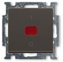 ABB Basic55 2CKA001020A0092 Выключатель одноклавишный двухполюсной (20 А, индикация, под рамку, скрытая установка, chateau-черный)