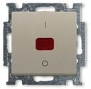 ABB Basic55 2CKA001020A0091 Выключатель одноклавишный двухполюсной (20 А, индикация, под рамку, скрытая установка, шампань)