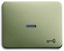 ABB Alpha Nea, Alpha Exclusive 1751-0-2830 Клавиша одиночная ("ключ", подсветка, палладий)