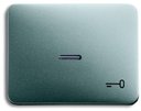 ABB Alpha Nea, Alpha Exclusive 1751-0-2841 Клавиша одиночная ("ключ", подсветка, титан)