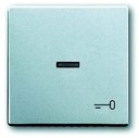ABB Future Linear 2CKA001751A2953 Клавиша одиночная (линза, "ключ", серебристо-алюминиевая)