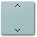 ABB Future Linear 2CKA006430A0328 Клавиша жалюзийного выключателя (маркировка, серебристо-алюминиевая)