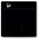 ABB Династия/Carat/Future Linear 2CKA006400A0013 Крышка для зарядного устройства (USB, антрацит/черный)