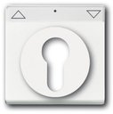 ABB Carat/Future Linear/Solo/Busch-Axcent 2CKA001710A3175 Накладка для выключателя с ключом (маркировка, белая)