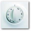 ABB Impuls 2CKA001753A4914 Накладка поворотного таймера (120 мин., маркировка, альпийский белый)