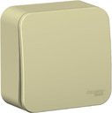 Schneider Electric BLNCA101017 BLANCA-О/У-1-клавишный-ВЫКЛЮЧАТЕЛЬ-(cх.1)-с-самовозвр,ИЗОЛ.ПЛ.,10А,БЕЖЕВЫЙ