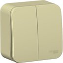 Schneider Electric Blanca BLNVA105017 Выключатель 2-клавишный (10 А, в сборе, о/у, бежевый)
