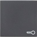 Gira System55 028728 Клавиша одиночная ("ключ", антрацит)