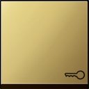 Gira System55 0287604 Клавиша одиночная ("ключ", латунь)