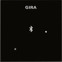 Gira System55 228805 Накладка для док-станции (черное стекло)