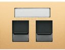 ABB Olas 8418.2 AR Накладка для двух суппортов (RJ11/RJ45, шторки, поле для надписи, песчаный)