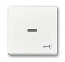 ABB Impressivo 1789TR-84 Клавиша одиночная ("ключ", линза, белый)